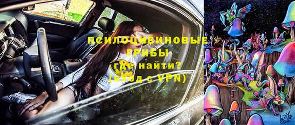 ПСИЛОЦИБИНОВЫЕ ГРИБЫ Алексин