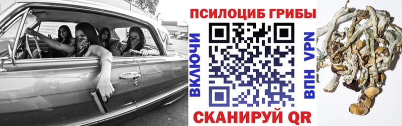 mega ссылки  Ардатов  Галлюциногенные грибы Psilocybe 